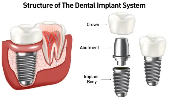 Dr. G Dental Studio dental care in Miami